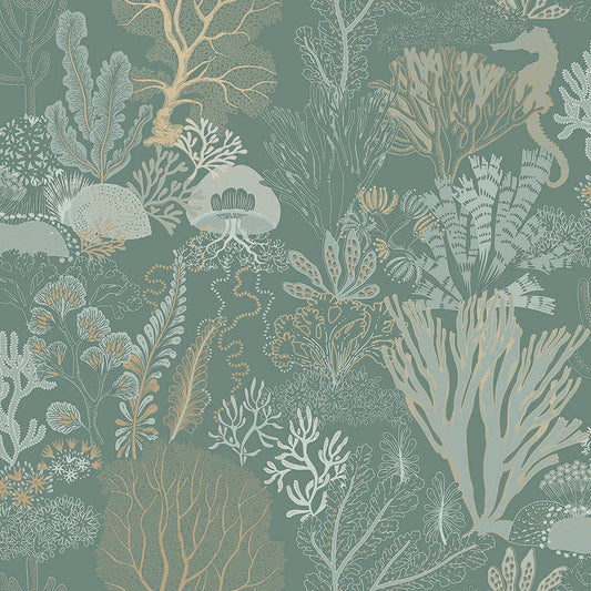 Nautilus Aqua - Wallpaper Inn 
