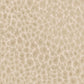 Makucha Bead Cream - Wallpaper Inn 