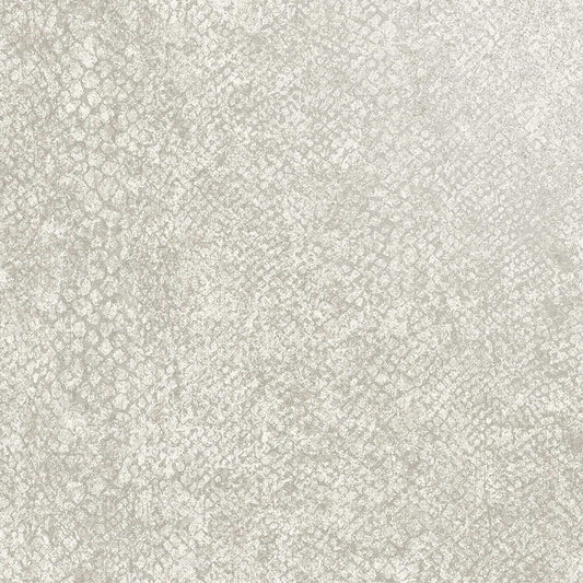Boa Bead Dove - Wallpaper Inn 