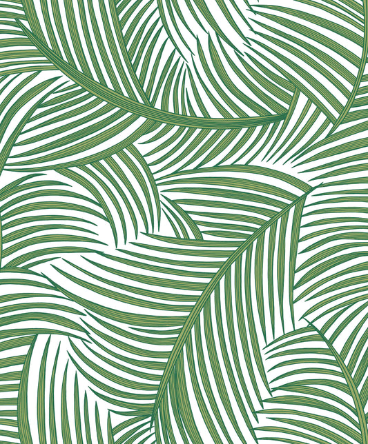 Kendari Lush - Wallpaper Inn 