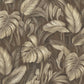 Amazon Breeze Chocolate Wallpaper