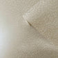 Fan Fleck Cream on Cream