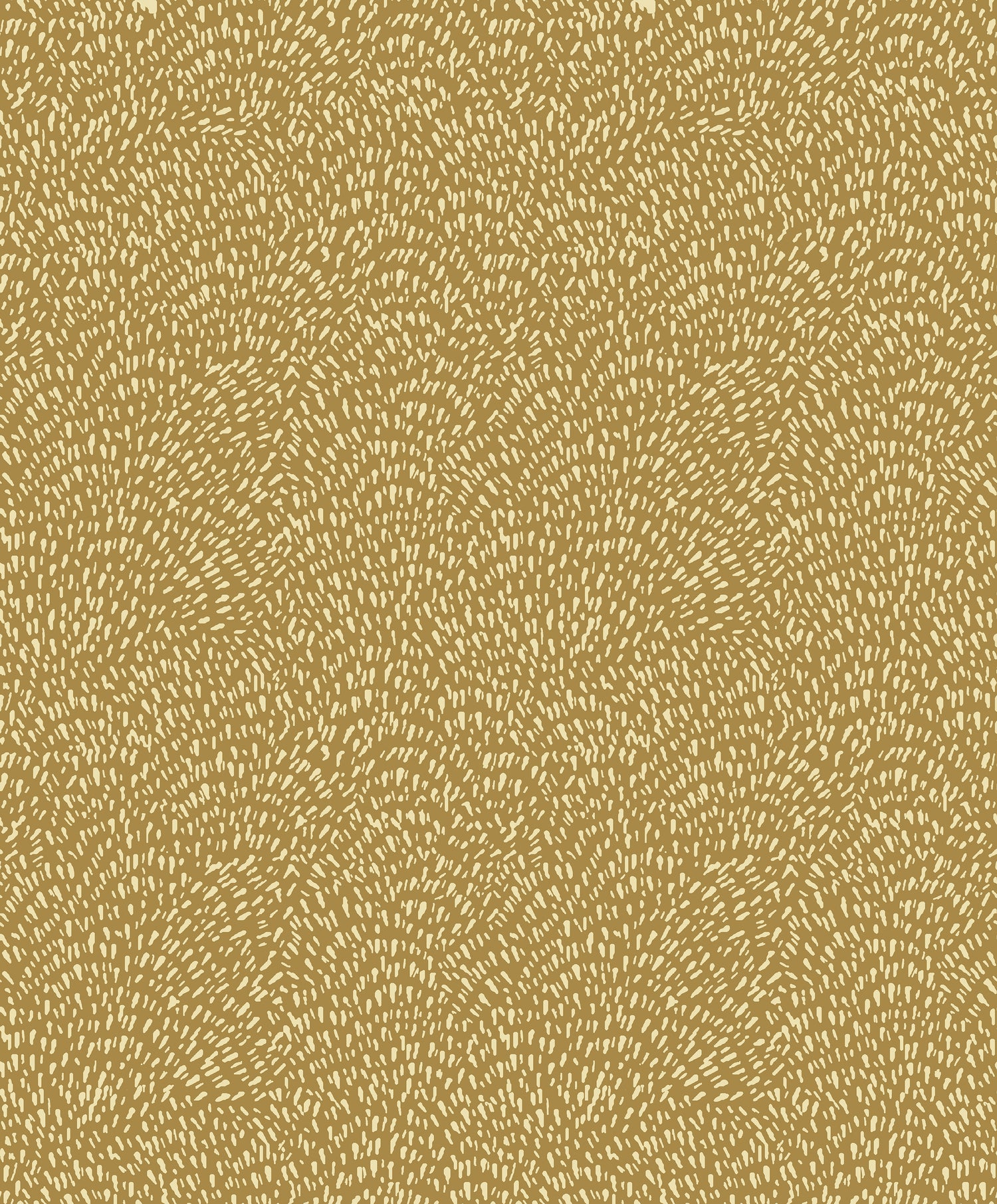 Orange Wallpapers