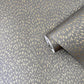Fan Fleck Gold on Steel