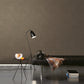 Plaster Fan Rose Gold on Charcoal