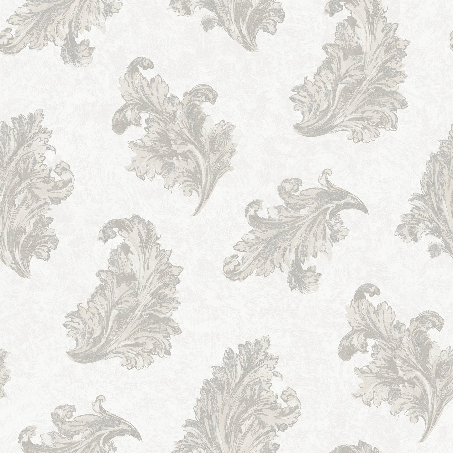 Acanthus Silver Grey