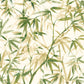 Shadow Bamboo Willow
