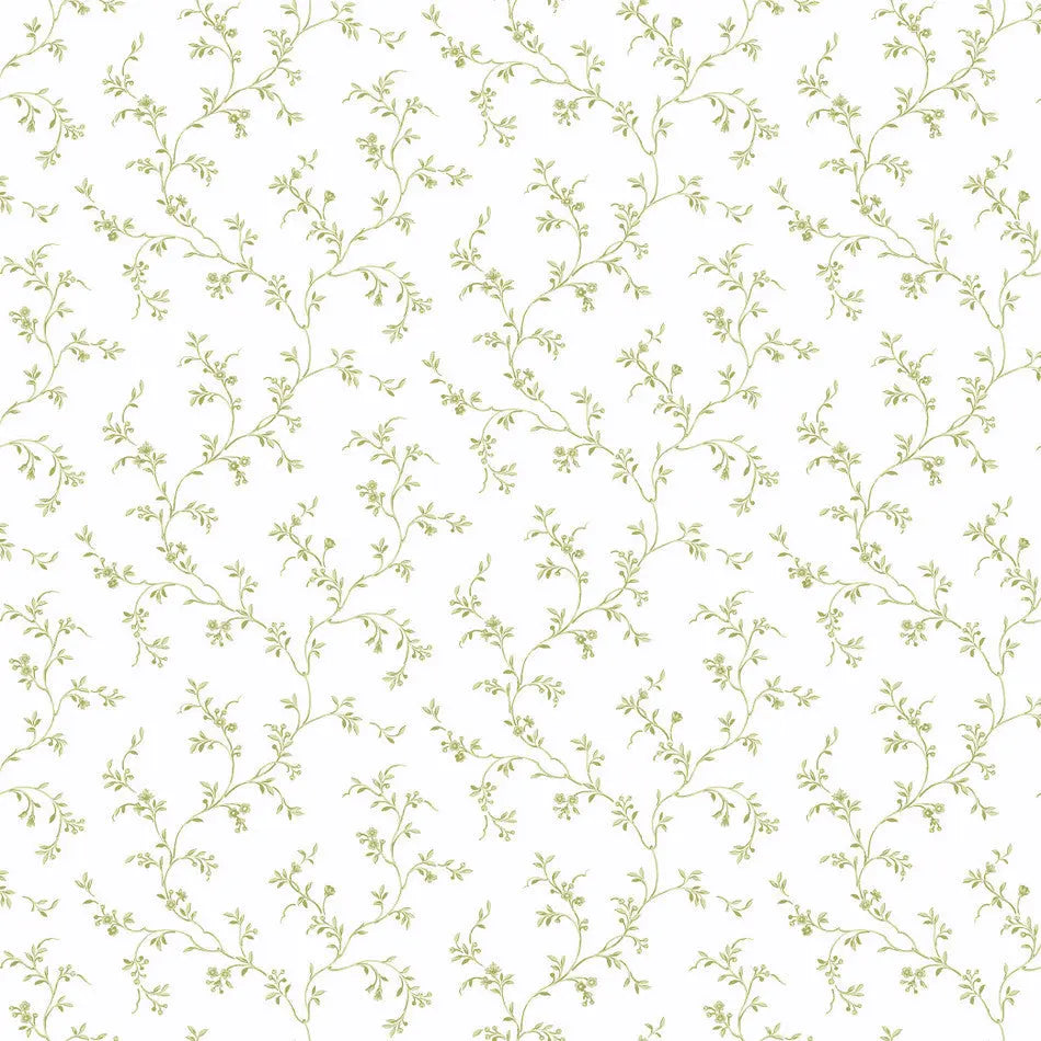 Allisons Trail Wallpaper Wallpaper Inn