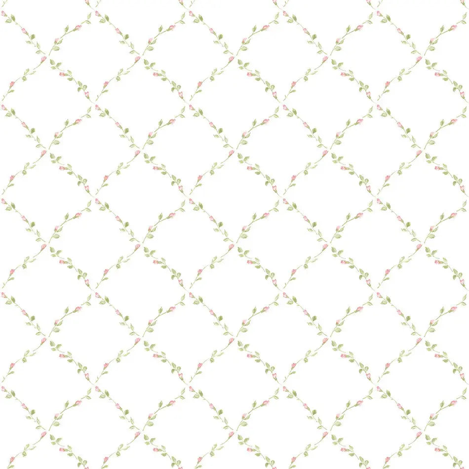 Rose Bud Trellis Red & Green Wallpaper Wallpaper Inn