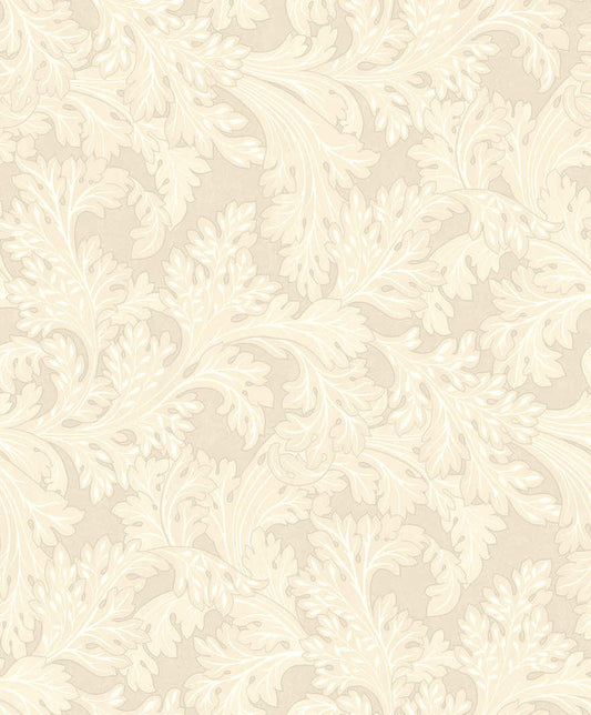 Forenza Wallpaper Wallpaper Inn