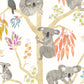Kooka Koala Pumpkin Wallpaper