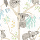 Kooka Koala Sky Wallpaper