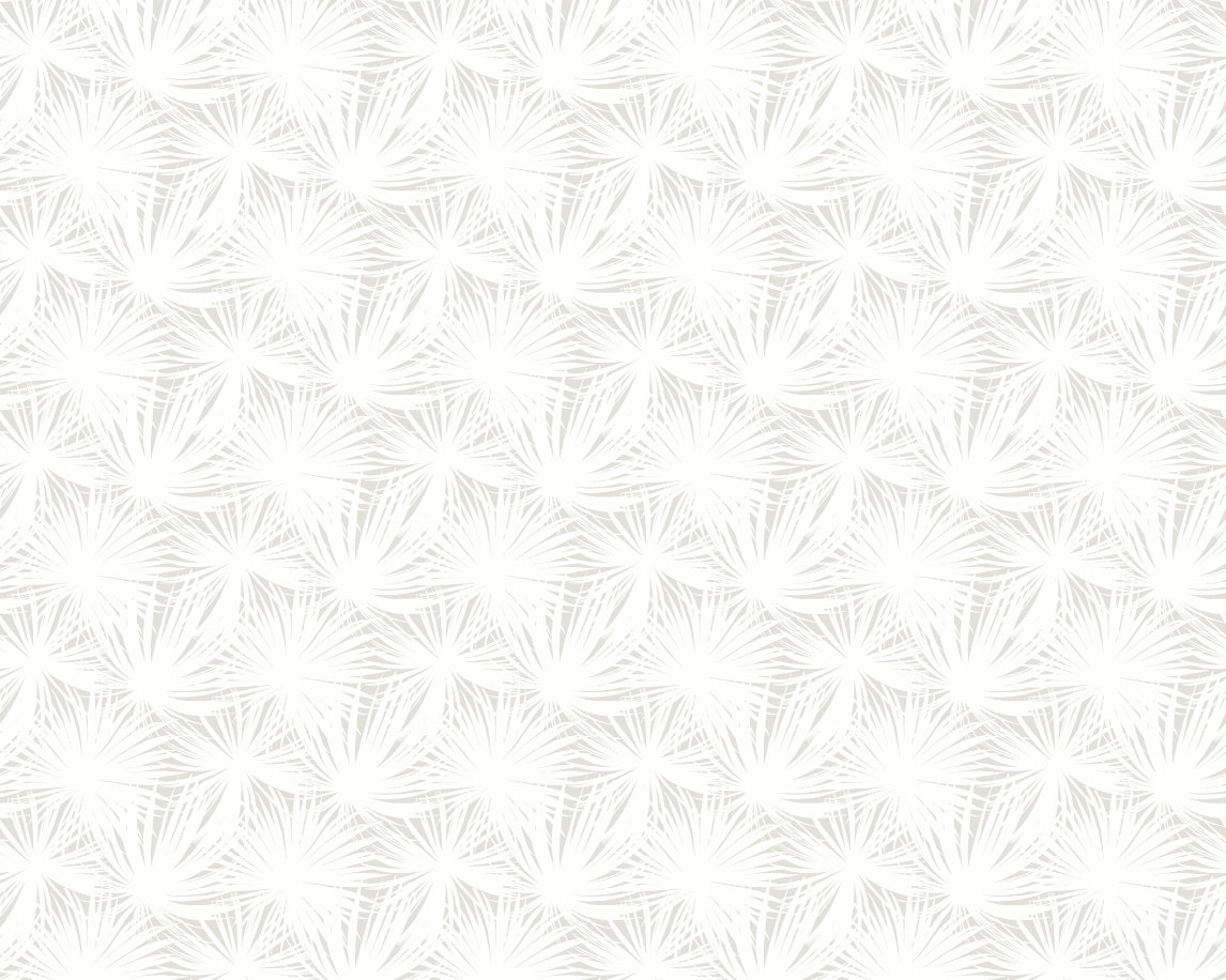 Palm Silhouette Cloud - Wallpaper Inn 