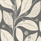 Berry Dot Carbon - Wallpaper Inn 