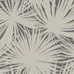 Palm Silhouette Shadow - Wallpaper Inn 