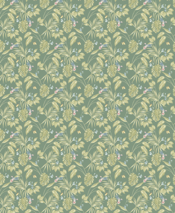 Hummingbird Forest - Wallpaper Inn 