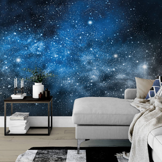 Calm Cosmos Mural Wallpaper Inn