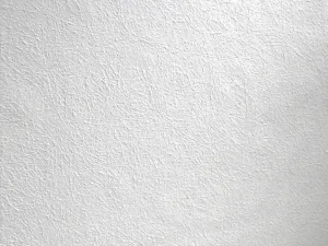 The Lapwing 25m Paintable wallpaper is a beautiful white paintable wallpaper that features a stippled effect and is an perfect surface for paint.